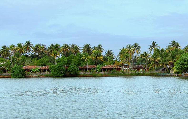Cherai Island Backwaters